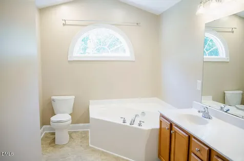 62 Red Berry Holly Lane Hurdle Mills NC 27541