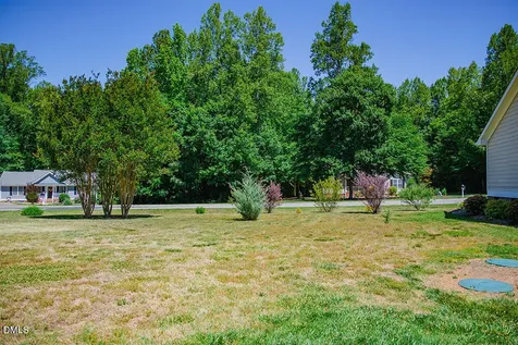 62 Red Berry Holly Lane Hurdle Mills NC 27541