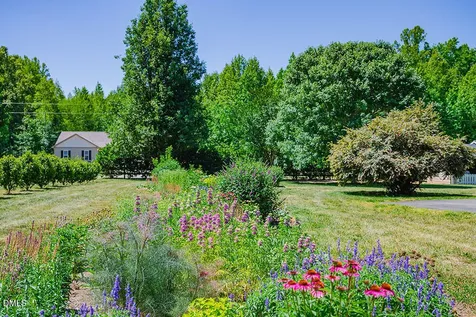 62 Red Berry Holly Lane Hurdle Mills NC 27541