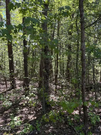 0 Moss Creek Drive Milton NC 27305