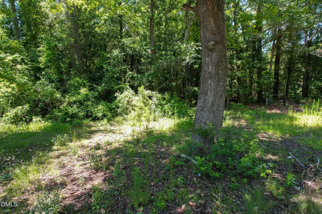 275 Hamer Street Fair Bluff NC 28439