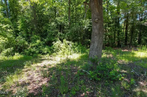 275 Hamer Street Fair Bluff NC 28439