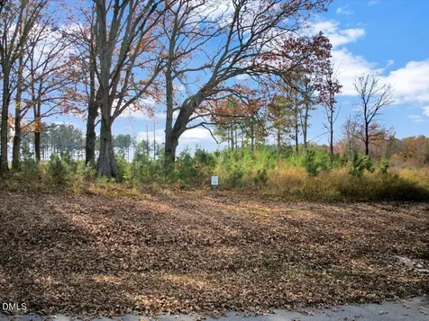73 Pinnacle Shores Drive Macon NC 27551