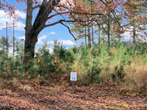73 Pinnacle Shores Drive Macon NC 27551
