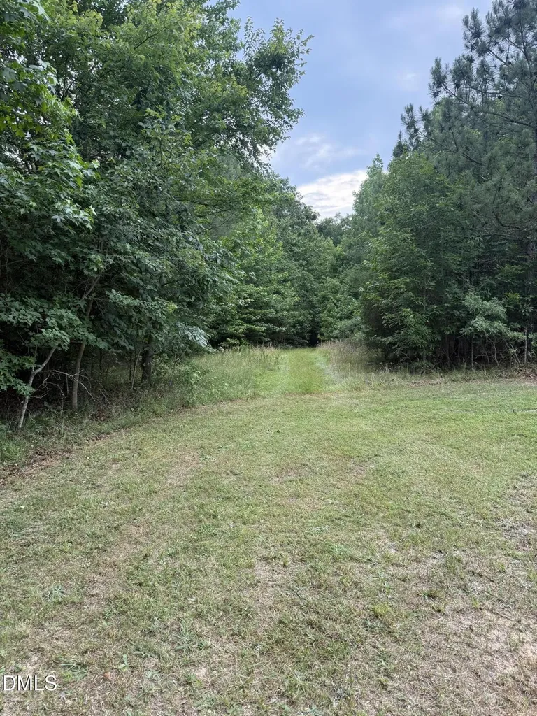 245 Brandon-kelsey Drive Siler City NC 27344