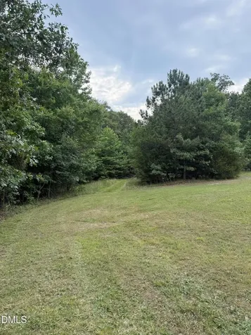 245 Brandon-kelsey Drive Siler City NC 27344