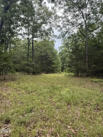 245 Brandon-kelsey Drive Siler City NC 27344