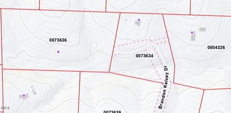 245 Brandon-kelsey Drive Siler City NC 27344