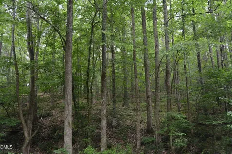 00 Tom Wright Road Franklinton NC 27525