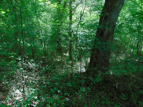 0 Big Woods Road Macon NC 27551