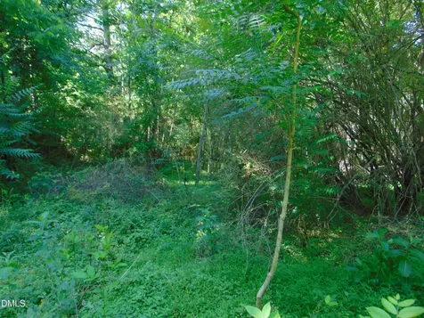 0 Big Woods Road Macon NC 27551