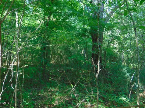 0 Big Woods Road Macon NC 27551