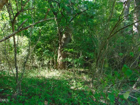 0 Big Woods Road Macon NC 27551