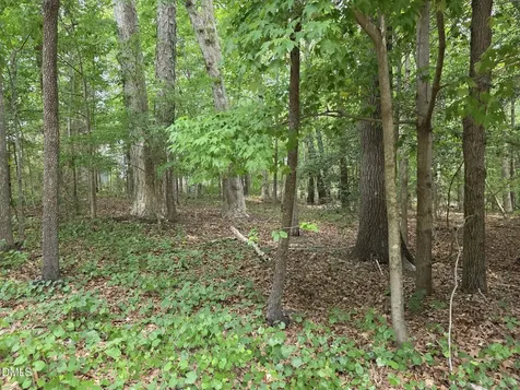 4901 Bluebird House Lane Raleigh NC 27616