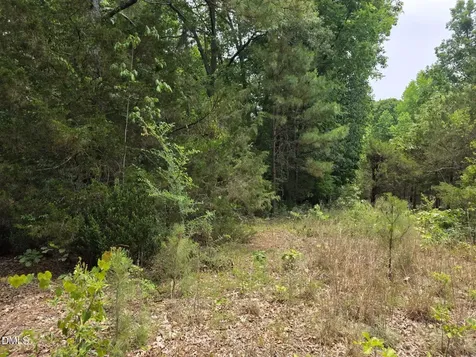 4901 Bluebird House Lane Raleigh NC 27616