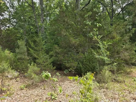 4901 Bluebird House Lane Raleigh NC 27616