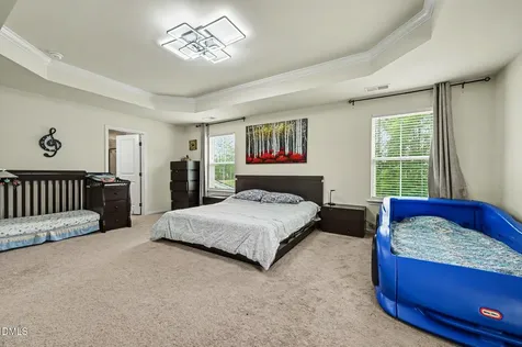3518 Johnson Grant Drive New Hill NC 27562