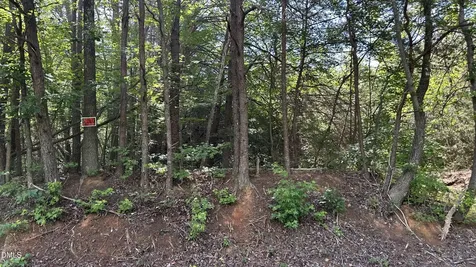 3016 Carver Road Rougemont NC 27572