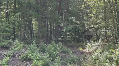 3016 Carver Road Rougemont NC 27572