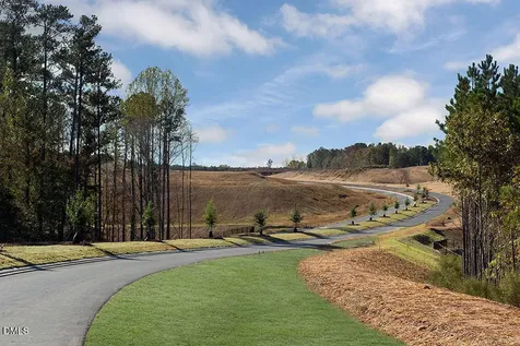 309 Diamond Bluff Lane Holly Springs NC 27540