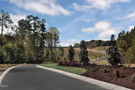 313 Diamond Bluff Lane Holly Springs NC 27540