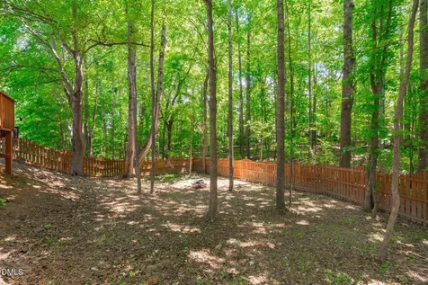 333 Apple Drupe Way Holly Springs NC 27540