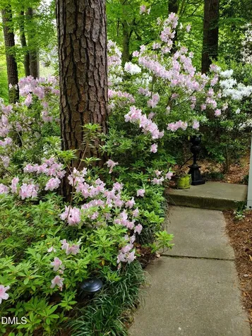 129 Castlefern Drive Cary NC 27513