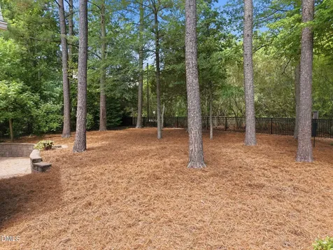 1229 Fanning Drive Wake Forest NC 27587