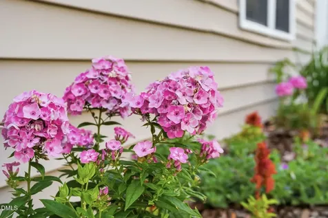 1406 Pleasant Garden Lane Raleigh NC 27610