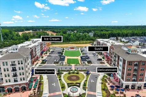 1145 Gloriosa Street Apex NC 27523