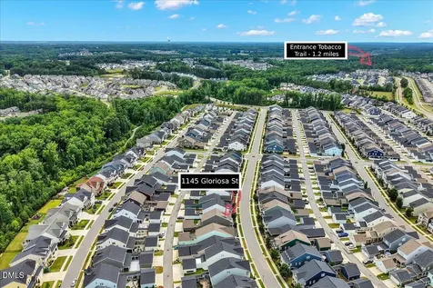 1145 Gloriosa Street Apex NC 27523