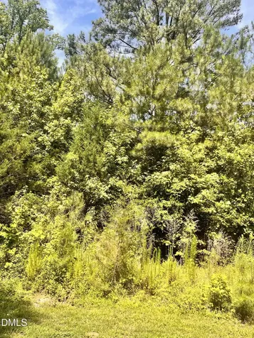 9220 Eisenhower Drive Apex NC 27539