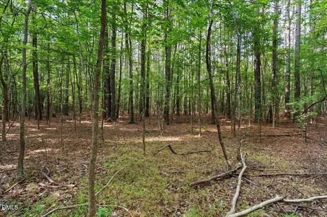 160 Baron Circle Youngsville NC 27596