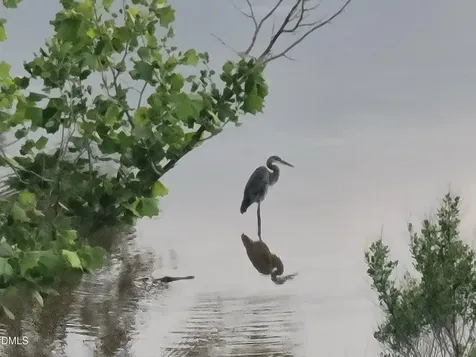 1113 Shadow Shade Drive Wake Forest NC 27587