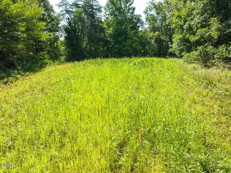 0 Park Springs Road Ruffin NC 27326