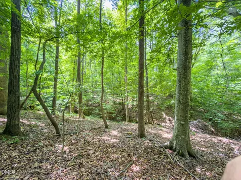 0 Park Springs Road Ruffin NC 27326