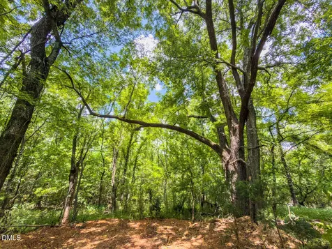 0 Park Springs Road Ruffin NC 27326