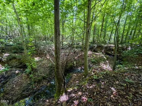 0 Park Springs Road Ruffin NC 27326