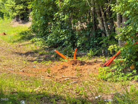0 Park Springs Road Ruffin NC 27326