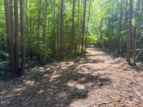 0 Park Springs Road Ruffin NC 27326