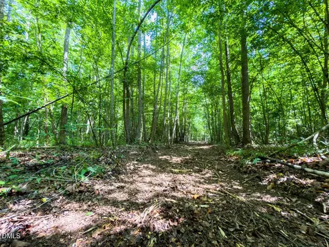 0 Park Springs Road Ruffin NC 27326