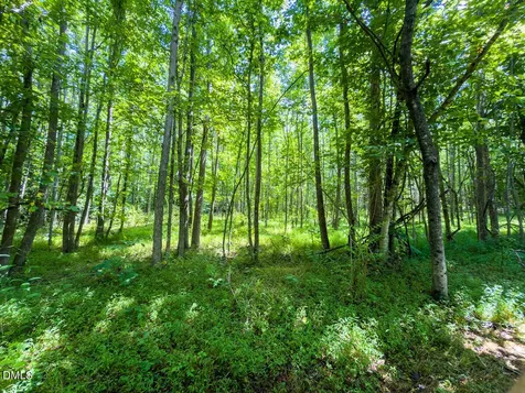 0 Park Springs Road Ruffin NC 27326