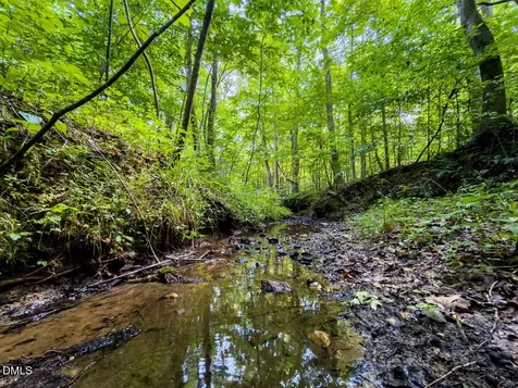 0 Park Springs Road Ruffin NC 27326