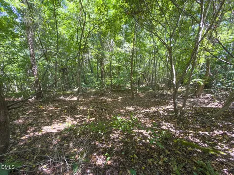 0 Park Springs Road Ruffin NC 27326