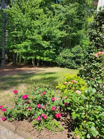 2130 Vittorio Lane Apex NC 27502