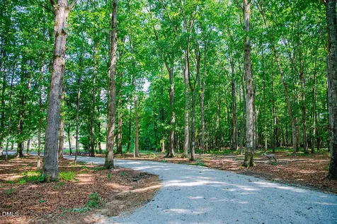 194 Robert Whitfield Road Hurdle Mills NC 27541