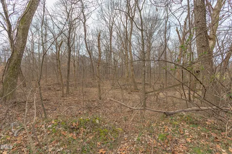 624 Bowen Road Rougemont NC 27572