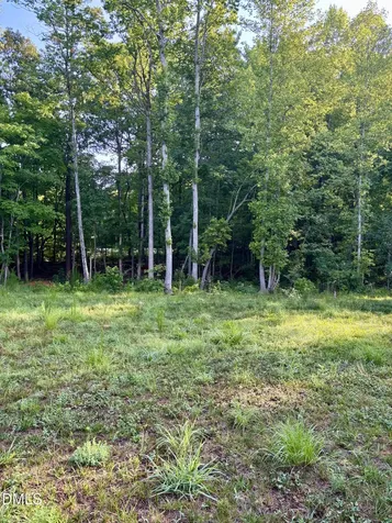 31 Izuba Day Drive Timberlake NC 27583