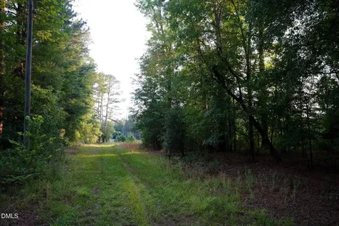 19.2 Acres Bunnlevel Erwin Road Erwin NC 28339