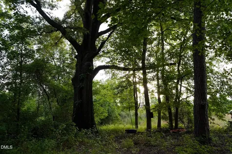 19.2 Acres Bunnlevel Erwin Road Erwin NC 28339